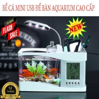 Trang tri be ca canh trong nha Bể cá cảnh mini đẹp Bể cá mini usb để bàn AQUARIUMthiết kế nhỏ gọnchắc chắn không dò gỉ nướcsang trọng dùng để trang trí nhà ởBH 1ĐỔI 1SALE 50% (TẶNG KÈM ĐÁ MÀU VÀ CÂY CẢNH NHỰA) 1298