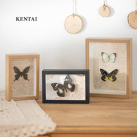 Trang trí để bàn handmade khung ảnh ba chiều DIY