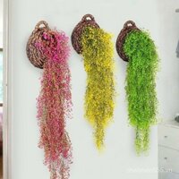 Trang trí tường phòng khách chuông vàng nhân tạo mới, cây xanh trong nhà, hoa treo tường, cây nho treo, giỏ hoa giả
