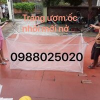 TRÁNG ƯƠM ỐC NHỒI MỚI NỞ