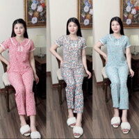 (Trangdobo) Quần áo đồ bộ nữ cổ sen phối ren hàng thiết kế