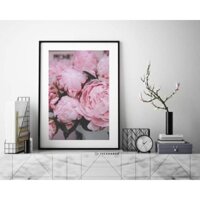 Tranh canvas hình hoa mẫu đơn 42x60 giá kèm khung