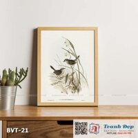 Tranh canvas vintage - Chim sơn ca (alamanthus fuliginosus) - BVT-21