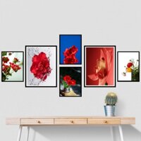 Tranh chủ đề hoa cỏ - Tranh dán, tranh khung, tranh tráng gương 4k cực nét,  chống nước cao cấp - Moon Decor