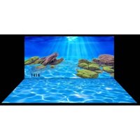 Tranh dán hồ cá 3d , hồ cá rồng , la hán , cá dĩa …