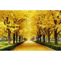 Tranh dán tường 3D con đường mùa thu vàng hai hàng cây - vải lụa phủ kim sa Kích thước theo yêu cầu - 80x120