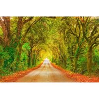 Tranh dán tường 3D phong cảnh PC02