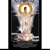 Tranh Dán Tường 3D VTC Phật Dược Sư- KT 65x100