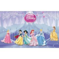 Tranh dán tường 3D VTC tranh trang trí phòng trẻ em hình công chúa disney ZTU-Vol 3  (276)