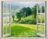 Tranh dán tường cửa sổ 3D Vạn Tường VT0099 110x90cm