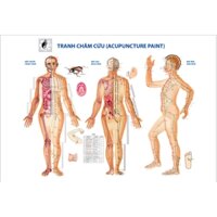 Tranh dán tường dưỡng sinh tâm thể,tranh châm cứu,tranh spa