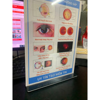 Tranh để bàn.Tranh để bàn tư vấn nhãn khoa các bệnh lý của đáy mắt, Tranh phòng kính, Tranh Kim Nhung.