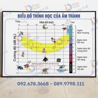 (Tranh Decal Dán) Biểu Đồ Thính Học Của Âm Thanh