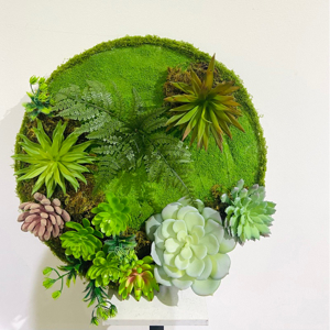 Tranh decor: Sen đá DC234