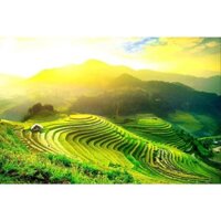 tranh đính đá 5d- mẫu tranh ruộng bậc thang vùng núi tây bắc cực đẹp-trah treo tuongf tự làm