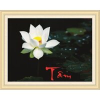 Tranh đính đá khổ nhỏ Tâm - Sen Trắng 88700 (64x50cm) [KHO SỈ] Tranh chất lượng cao