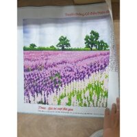 tranh đính đá thành phẩm 3 bức cánh đồng hoa lavender