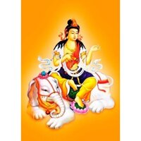 Tranh đính đá tự làm. Tranh phật phổ hiền bồ tát