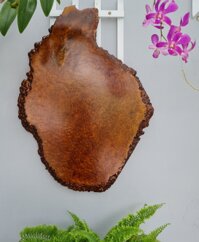 Tranh Gỗ Nu Sơn Huyết Phong Thủy TMTN 01