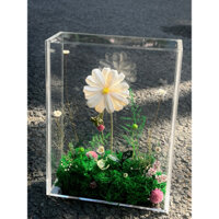 Tranh Hoa Khô để Bàn Làm Việc