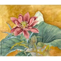 Tranh hoa sen có khung, tranh in trên vải canvas, tranh khổ vuông, tranh trang trí phòng trà đạo, tranh decor Printek