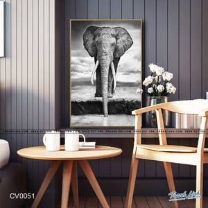 Tranh in canvas VTC Luna CV-0051 90 x 50cm