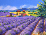Tranh in canvas VTC LunaCV-0112 - cánh đồng hoa oải hương, 65 x 50cm
