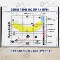 (Tranh Khung) Biểu Đồ Thính Học Của Âm Thanh -Tranhyte