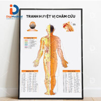 (Tranh Khung) Bộ Tranh Huyệt Vị Châm Cứu (50x75cm)