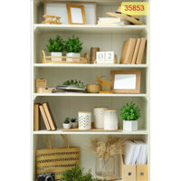 Tranh lụa hình kệ sách 3D như thật trang trí phòng (Tặng kèm keo)