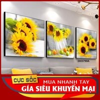 Tranh pha lê, tranh gương treo tường DH3790A