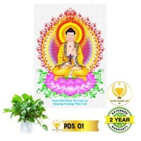 Tranh Phật Dược Sư có khung_DSK1