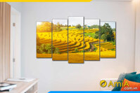 Tranh ruộng bậc thang lúa chín vàng quê em AmiA 1939