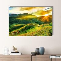 Tranh ruộng bậc thang mùa lúa chín 1150148