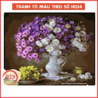 Tranh Sơn Dầu Tô Màu Theo Số Tranh Hoa H034 – Tranh Số Hóa Tự Tô DIY 40x50cm