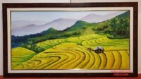 Tranh sơn dầu vẽ, Cánh đồng lúa chín vàng ruông bậc thang-S032
