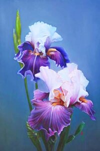 Tranh sơn dầu vẽ Hoa Lay Ơn tím theo phong cách Hiện Đại - TSD650LHAR