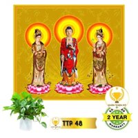 Tranh Tam Thế Phật có khung_TTPK5