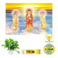 Tranh Tam Thế Phật có khung_TTPK4
