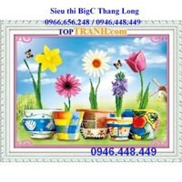 tranh thêu chữ thập 5 chậu hoa khoe sắc, ngũ sắc nhân sinh 5D494 (chưa thêu)