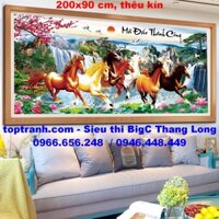 Tranh thêu chữ thập con ngựa mã đáo thành công MN0104 chưa thêu