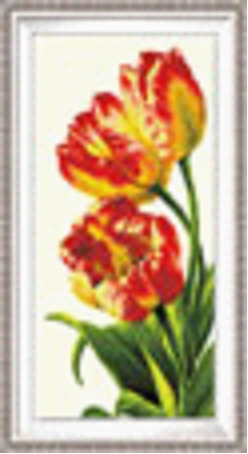Tranh thêu chữ thập hoa tuilip - DLH-YA587