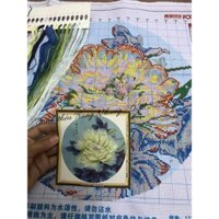 Tranh thêu chữ thập Mẫu đơn Trắng DX1129 50x50cm