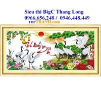 Tranh thêu chữ thập Phú Quý Bình an 222780 (chưa thêu) tranh thêu tùng hạc diên niên diên