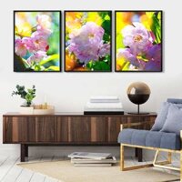 Tranh Trang Trí Canvas Loại 2-1B57