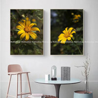 Tranh treo tường 2 tấm hoa dã quỳ tranh trang trí decor có khung kèm đinh treo