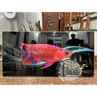 Tranh Treo Tường Cá Rồng Huyết Long 3D Tranh Dài Treo Phòng Khách/ Phòng Ngủ/ Bàn Làm Việc Khung Nhôm Cao Cấp