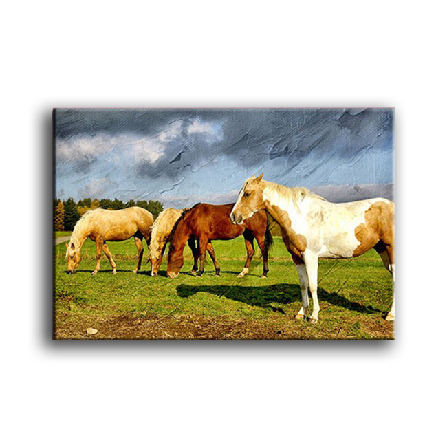 Tranh treo tường Suemall - Bầy ngựa trên cánh đồng - CV140816