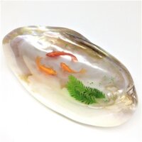 Tranh Vẽ Cá 3D Trên Vỏ Ốc Xà Cừ Cao Cấp