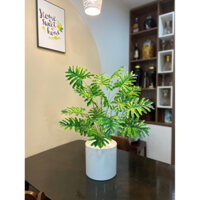 trầu bà thanh xuân monstera - cây giả decor (hình thật tự chụp 100%)